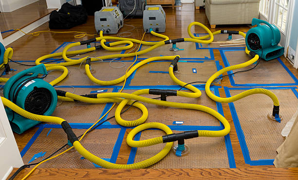 Professional Water Damage Restoration technician working in Broomall, PA